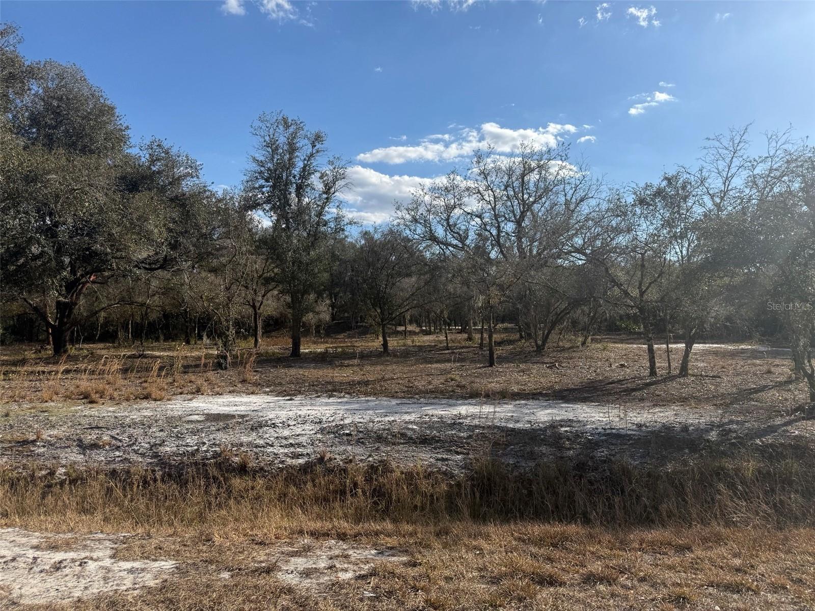 SOUTHERN COLONIZATION CO - Land