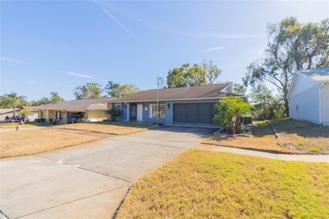 A home in PORT RICHEY