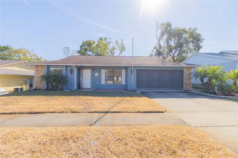 A home in PORT RICHEY