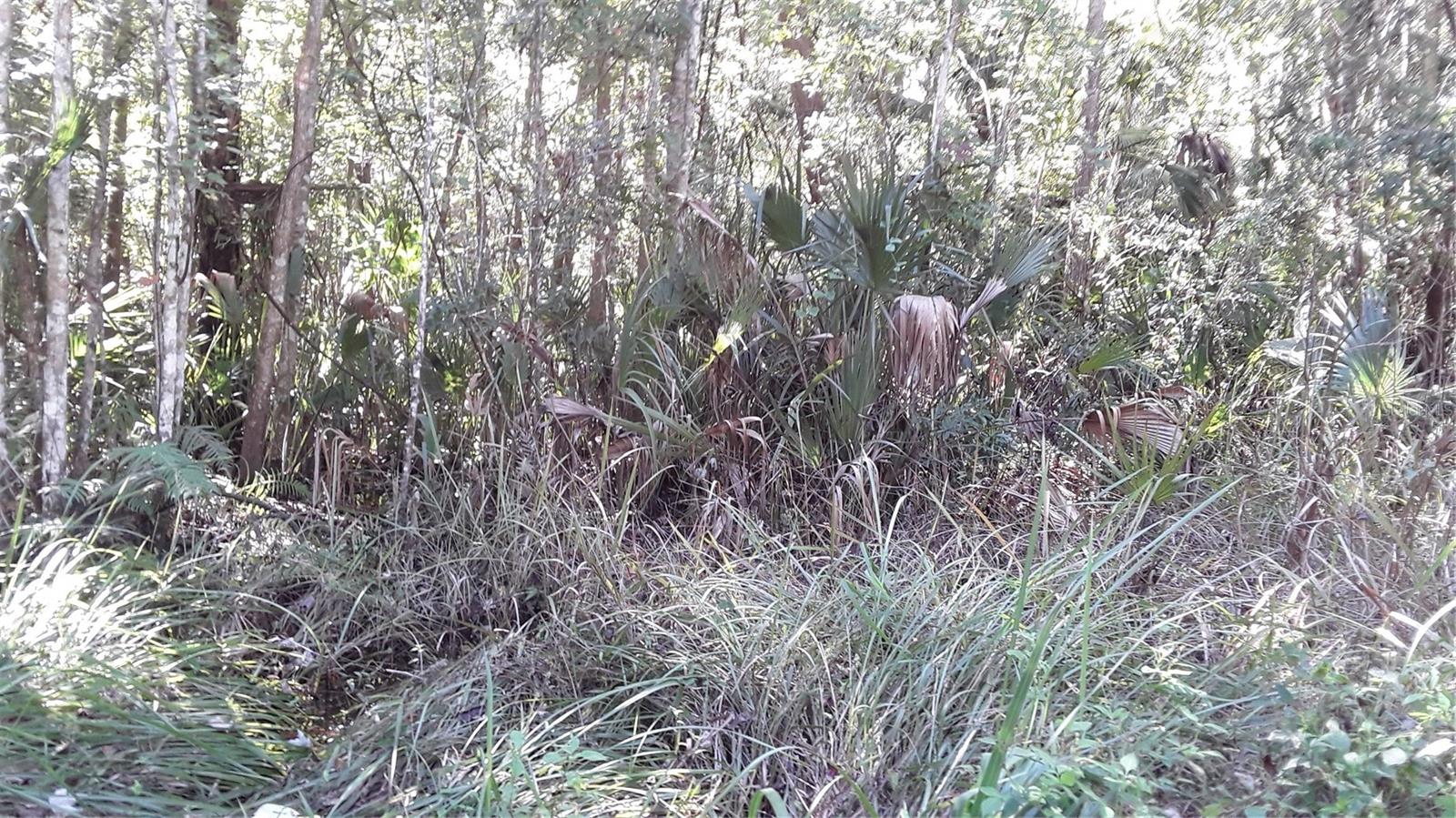 MEADOWS UN 04 - Land