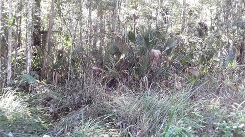 NE 37TH TERRACE TERRACE CITRA FL 32113