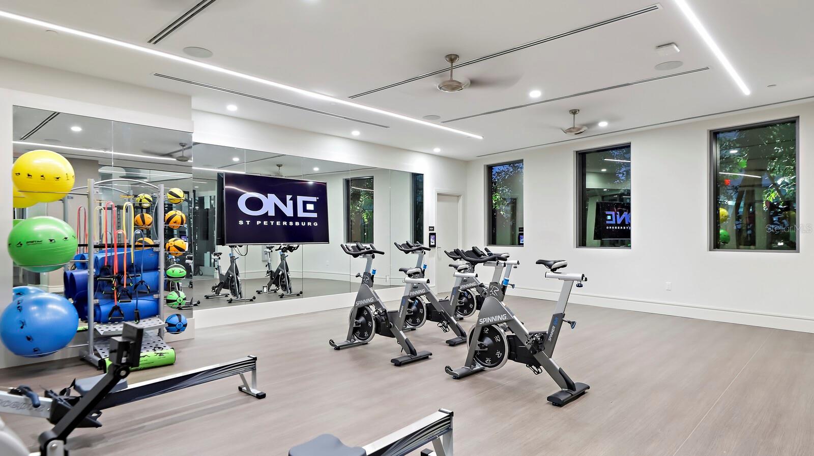 ONE ST PETERSBURG CONDO - Residential