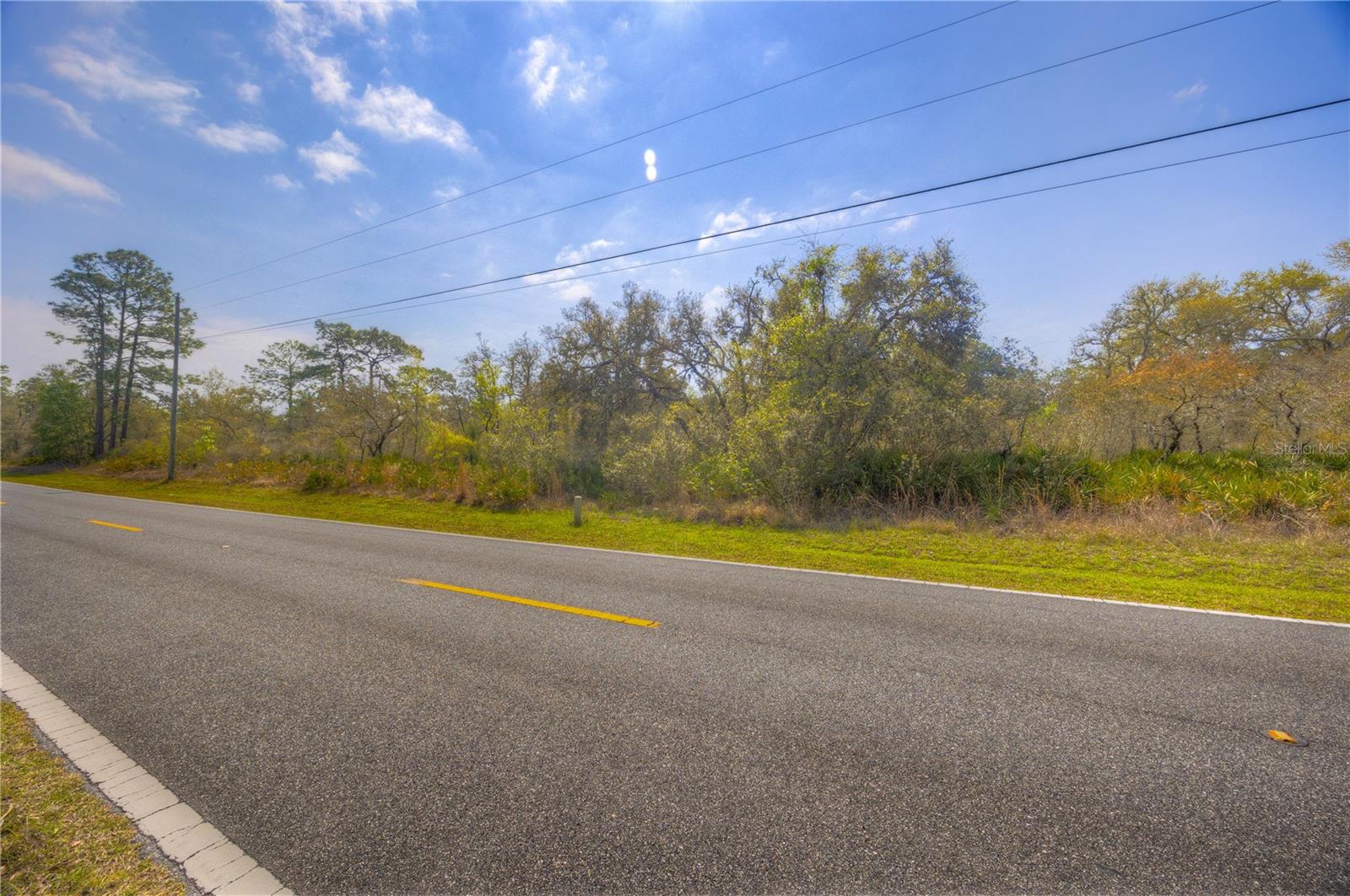RIDGE MANOR ESTATE - Land