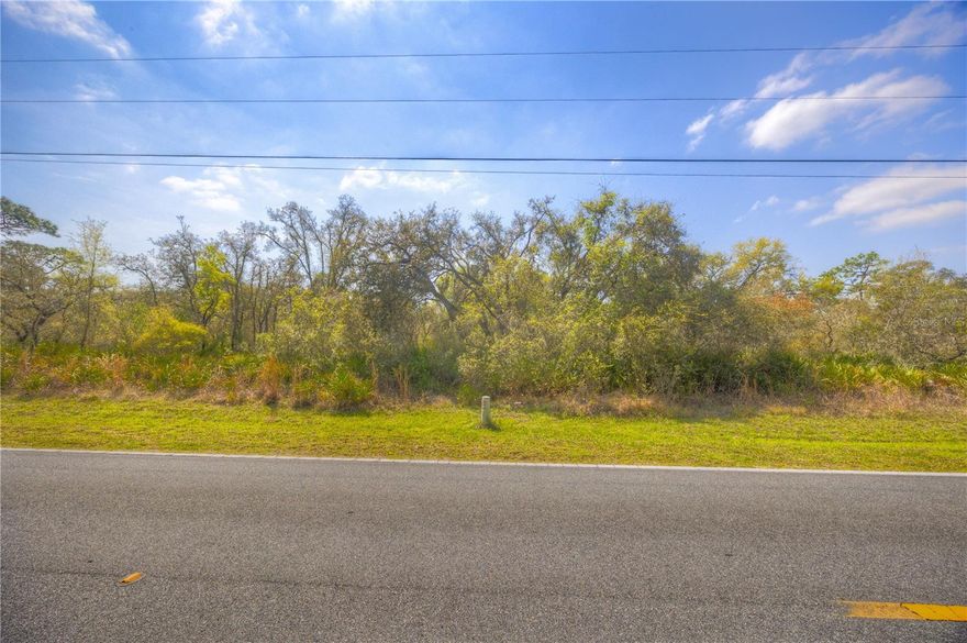 Build your dream in the heart of Florida on this beautiful 1.15-acre parcel offering the perfect balance of rural living and convenience. The property is mostly open and ready for your vision, whether you're planning a custom home, weekend retreat, or future investment. Electricity is available, helping simplify the building process. Located just off a paved road in a peaceful country setting, you'll enjoy privacy and space without feeling isolated. Conveniently situated near US-301/Treiman Boulevard, the property provides easy access to shopping, dining, schools, and everyday necessities while maintaining a relaxed rural atmosphere. Enjoy the best of Central Florida living with approximately one-hour access to Tampa, Orlando, and many of Florida's beautiful Gulf Coast beaches. Bring your plans and explore the possibilities this versatile acreage has to offer.