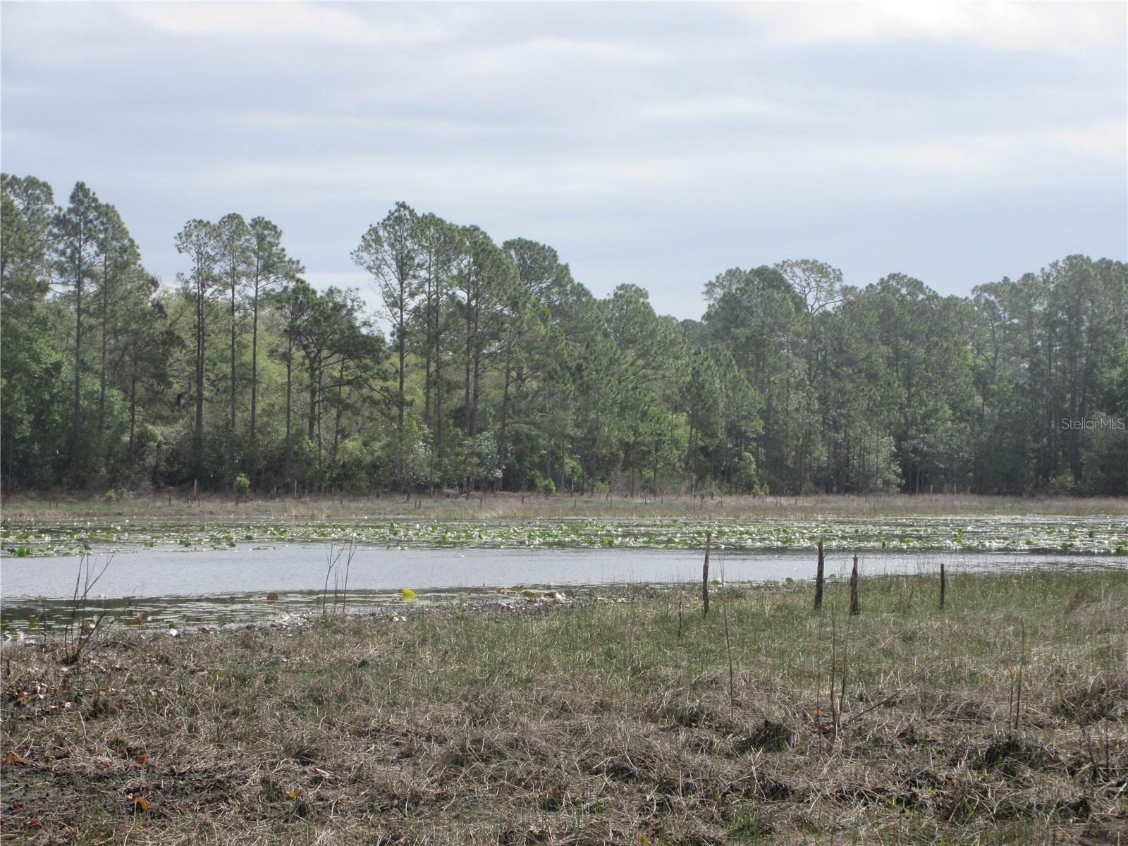 LAND-O-LAKES ESTATES - Land