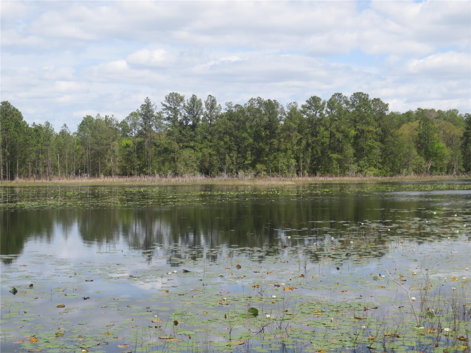 LAND-O-LAKES ESTATES - Land