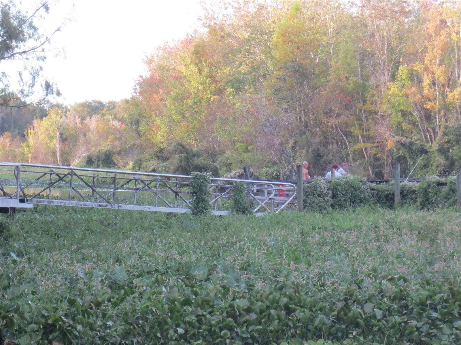 LAND-O-LAKES ESTATES - Land