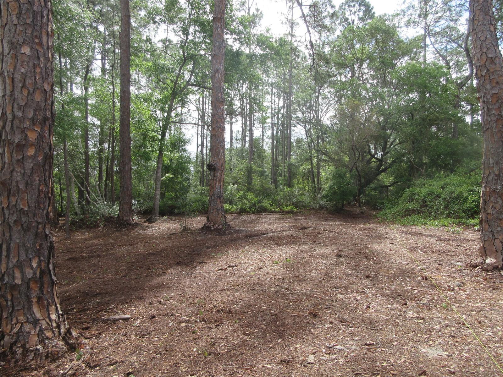 LAND-O-LAKES ESTATES - Land