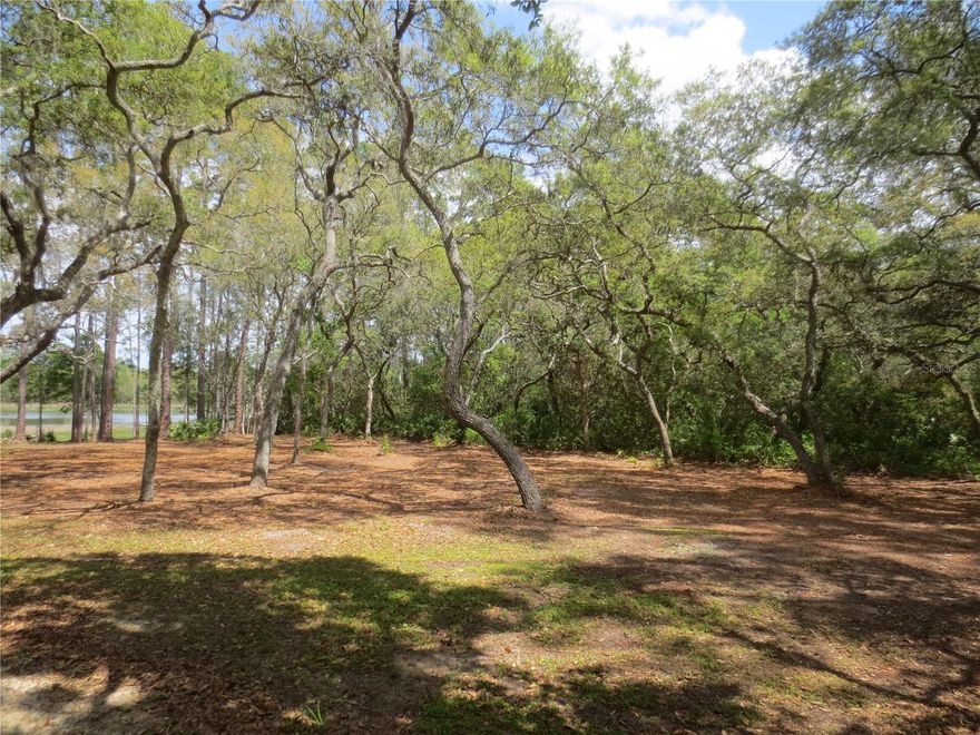 THE RAREST OF ALL PROPERTIES! This owner financed property is located in the Ocala National Forest and includes ONE gorgeous lake lot plus approximately 3.70 acres of fabulous Tobe Lake with a breathtaking view of the Forest. The property has approximately 545 feet bordering the Ocala National Forest. The entire Tobe Lake is approximately 42 acres in size. NO HOA and the 3.70 acre portion of Tobe Lake is TAX FREE! The lot is zoned R-4 which permits either a mobile home, stick built or block home. Excellent fishing, jet skiing, boating kayaking and hunting! Lot 7 is 78' x 235' being .49 acre in size. This is a tremendous property at a great price of just $149,000 and the seller will accept half down payment and seller finance the balance at 8% interest for 15 years at $711.97 per month. A Survey is included. Also just one lot away, the seller has an additional lake lot available with approximately 441 feet on Tobe Lake for $149,000. Also, just 1 lot away the seller has two additional lake lots available with a dock and approximately 767 feet on on Tobe Lake for $203,000. All lots are cash or seller financed. Pick and choose which lots you love the most! Hurry!! This lot is located in the Ocala National Forest which affords you almost a ½ million acres of Forest to roam, 600 lakes, 2 rivers, Juniper Springs, Silver Glen Springs, Salt Springs, Swimming, Skiing, Big BASS Fishing, Boating, Camping, Hiking, Horse back riding and some of the best ATV riding anywhere. Daytona Beach is just 1 hour away. Let the fun begin! You need it!
