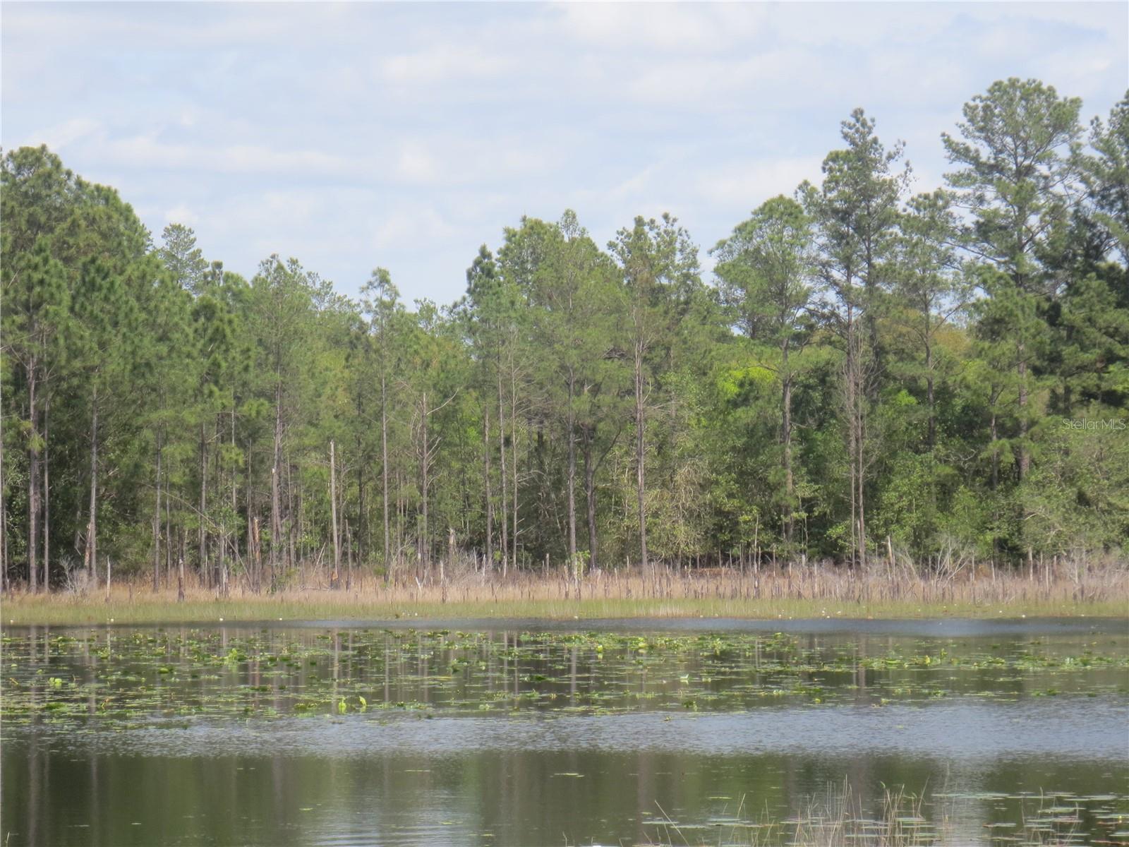 LAND-O-LAKES ESTATES - Land