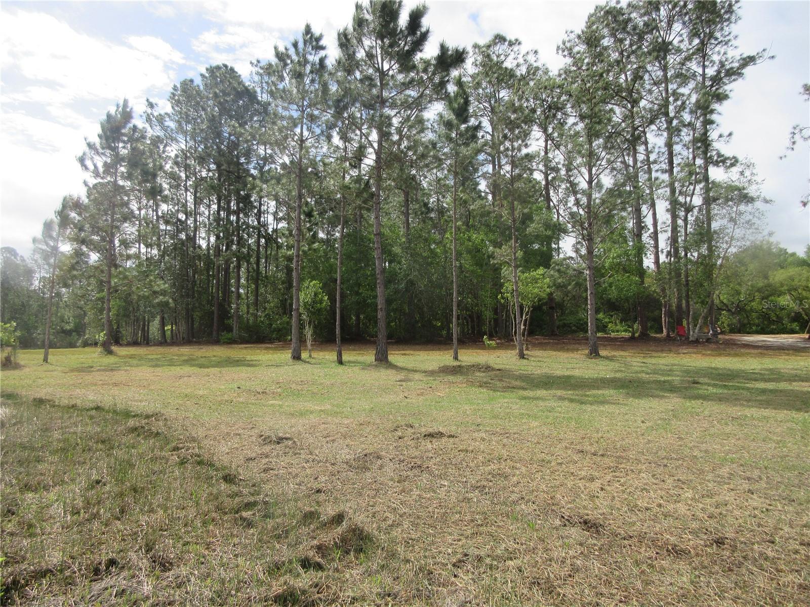 LAND-O-LAKES ESTATES - Land