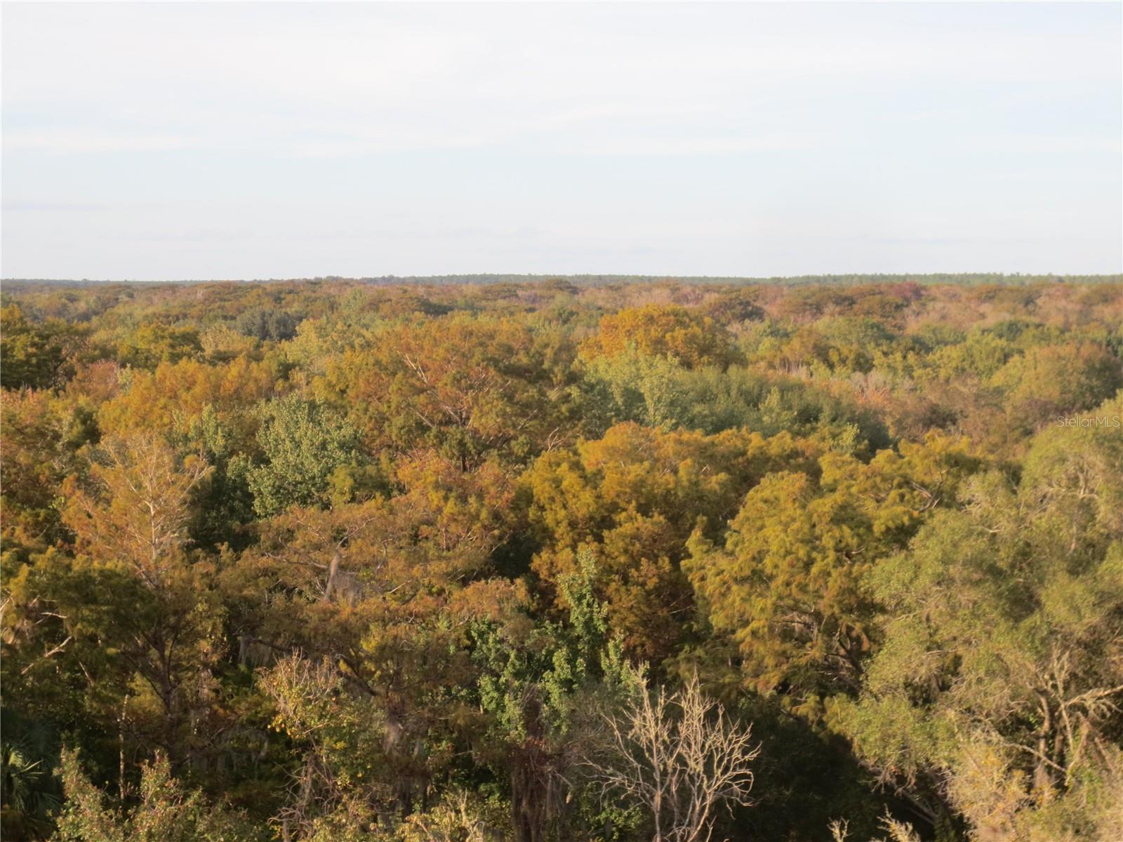 LAND-O-LAKES ESTATES - Land