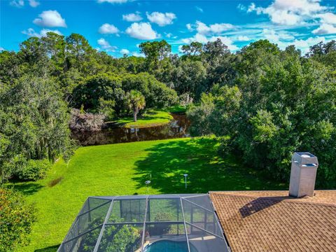 A home in BRADENTON