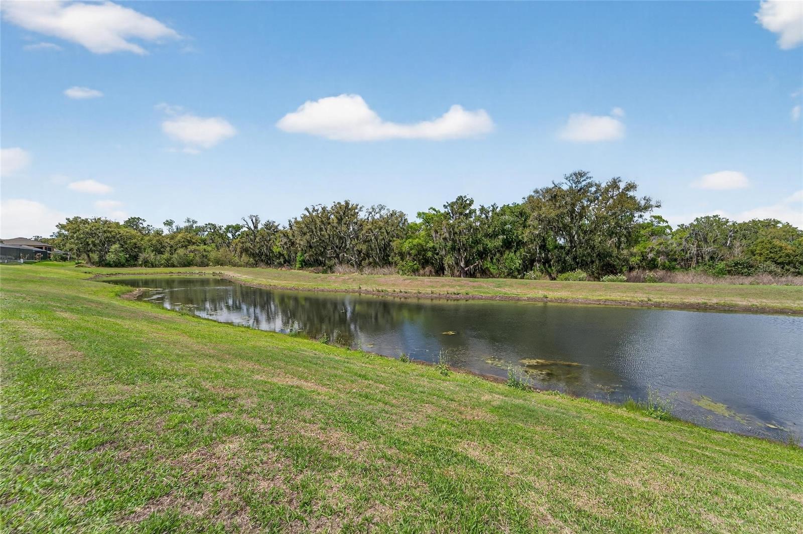 TRIPLE CRK PH 4 VILLAGE G2 - Residential