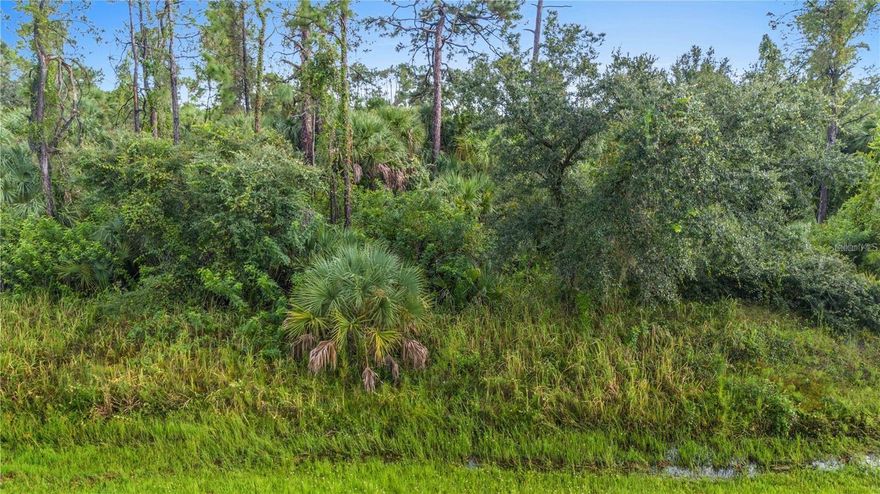 This exceptional lot presents an ideal location for your custom Florida dream home. This parcel is tucked away on a quiet street, offering both privacy and a tranquil setting surrounded by nature. The property provides convenient access to I-75, shopping, parks, restaurants, and all the amenities available in rapidly growing North Port. With no HOA, deed restrictions, or CDD fees, you have maximum flexibility to build a personal residence or develop a rental investment. The area is experiencing extensive new construction, reflecting its considerable growth potential. Residents benefit from Sarasota County's renowned schools, family-friendly atmosphere, and proximity—approximately a 35-minute drive—to beautiful beaches and abundant recreational opportunities. Whether you wish to begin development now or retain the property for future use, this offering represents a valuable opportunity. Get started on the building process today!