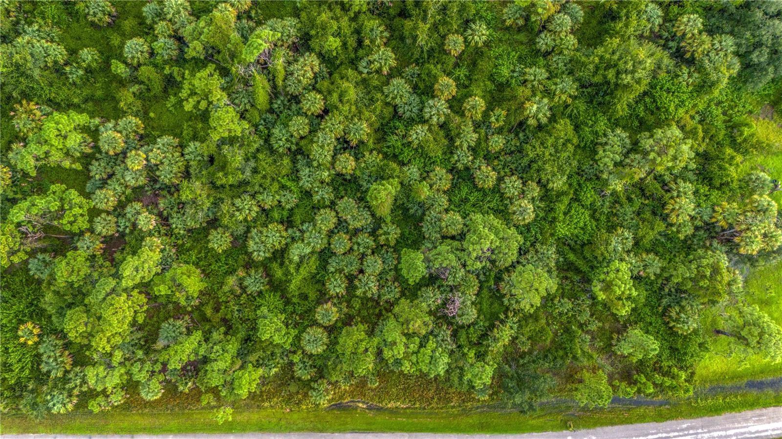 PORT CHARLOTTE SUB 45 - Land