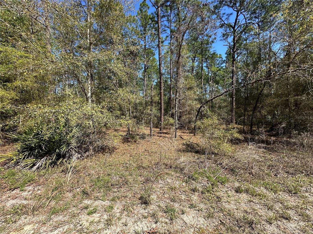 Photo of Tbd SW 29th Street, Ocala, FL 34473 (MLS # OM722079)