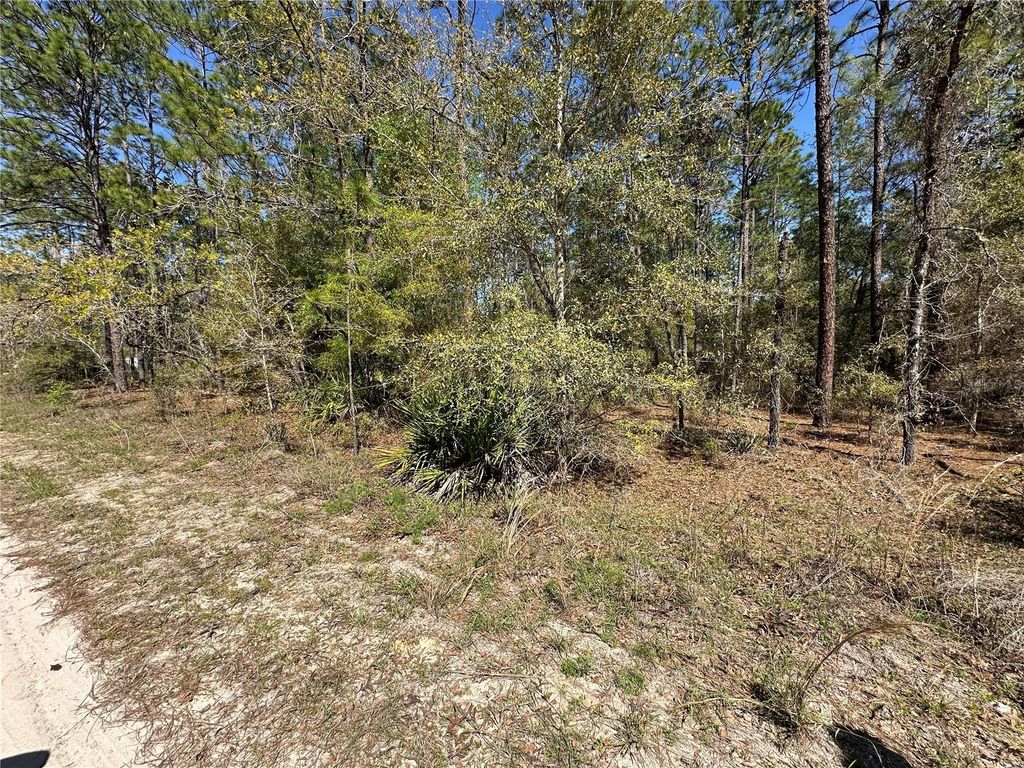 Photo of Tbd SW 29th Street, Ocala, FL 34473 (MLS # OM722079)