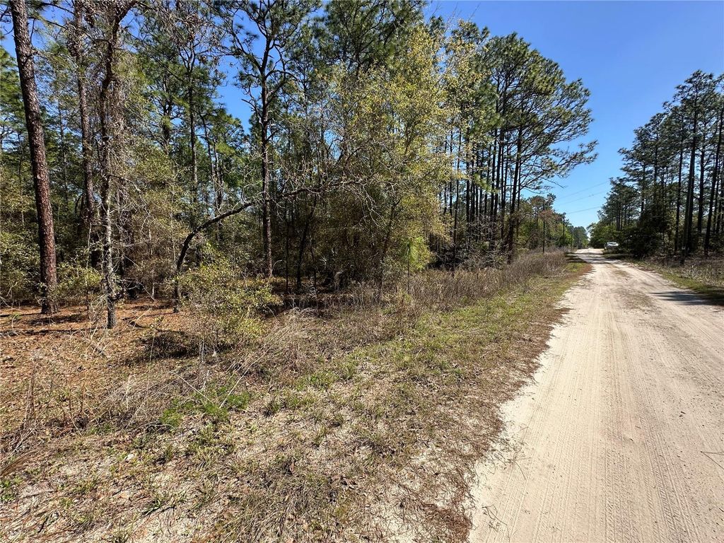 Photo of Tbd SW 29th Street, Ocala, FL 34473 (MLS # OM722079)