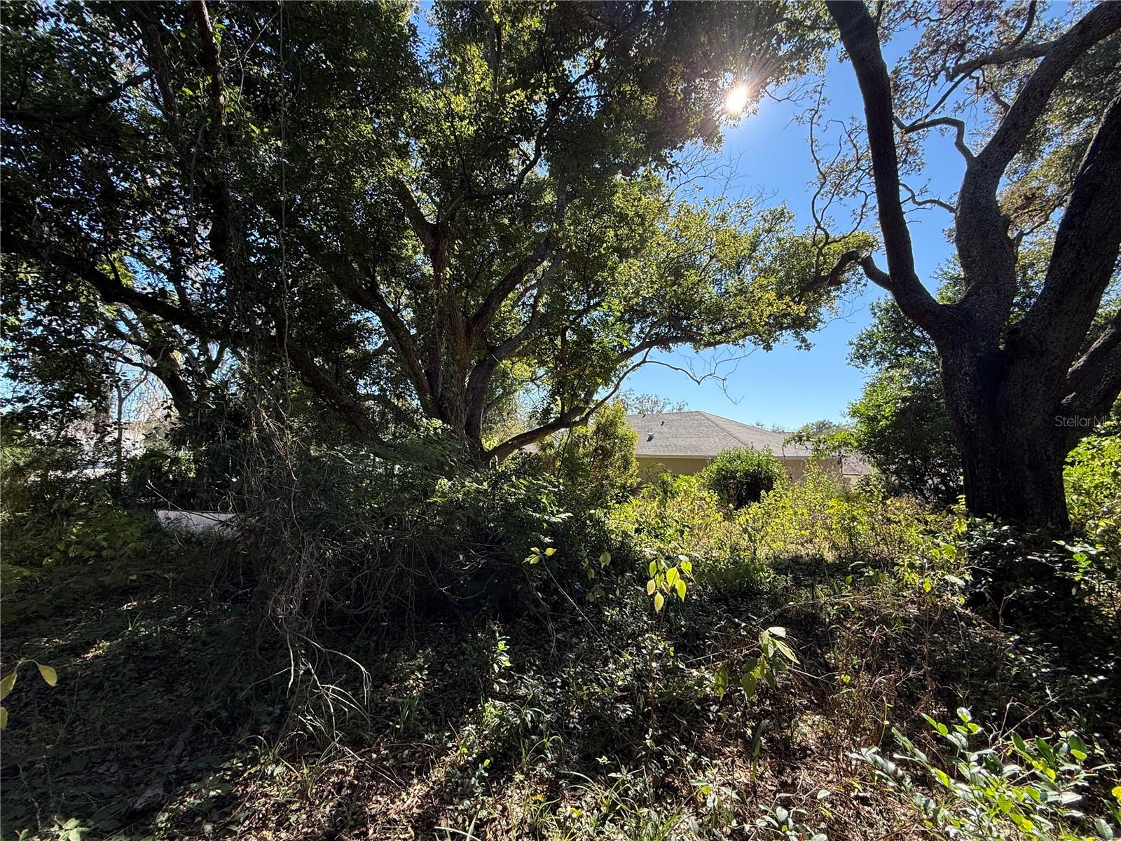 TAYLORS HEIGHTS - Residential