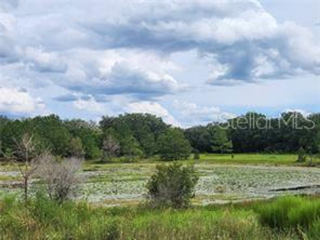 Photo of Orange Rd, Ocklawaha, FL 32179 (MLS # OM714736)