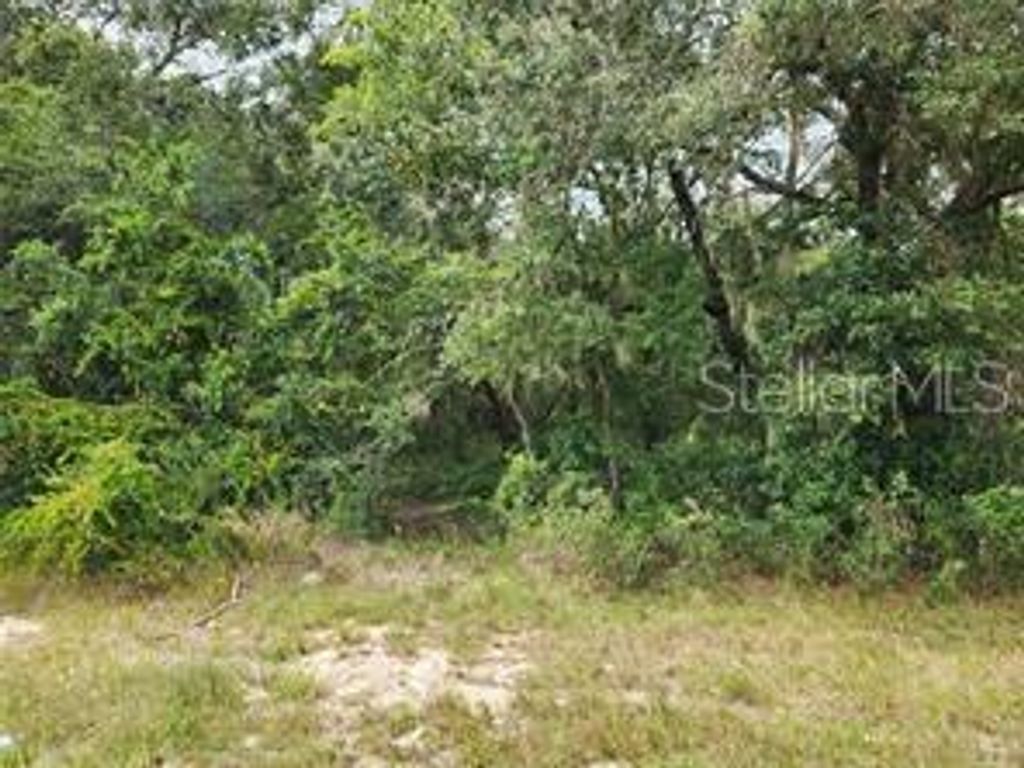 Photo of Orange Rd, Ocklawaha, FL 32179 (MLS # OM714736)