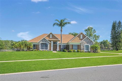 7629 LAKE ANGELINA DRIVE MOUNT DORA FL 32757