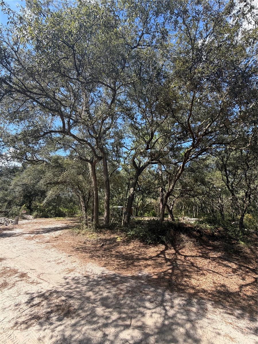 Photo of Tbd NE 192nd Place, Fort Mccoy, FL 32134 (MLS # OM733288)