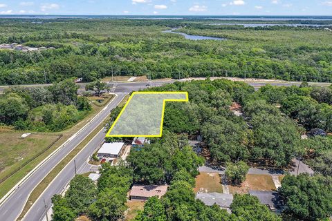 Tiny photo for 0 Us Hwy 27/441 & Miller Avenue, Fruitland Park, FL 34731 (MLS # G5090518)
