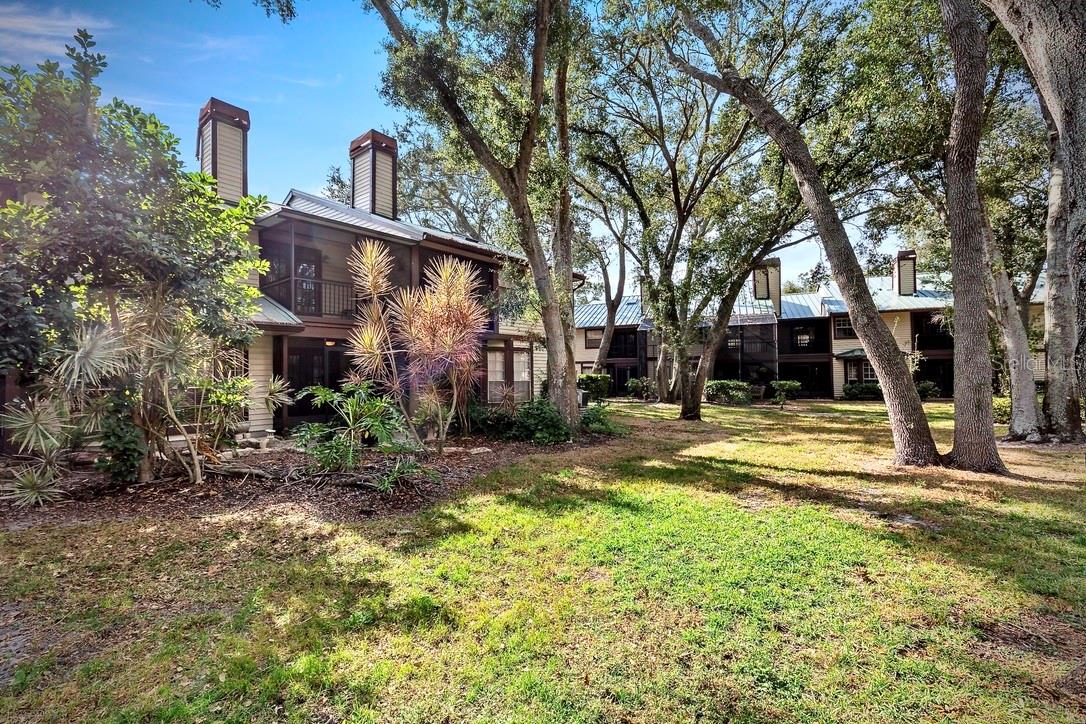 LAUREL OAKS AT COUNTRY WOODS CONDO - Residential