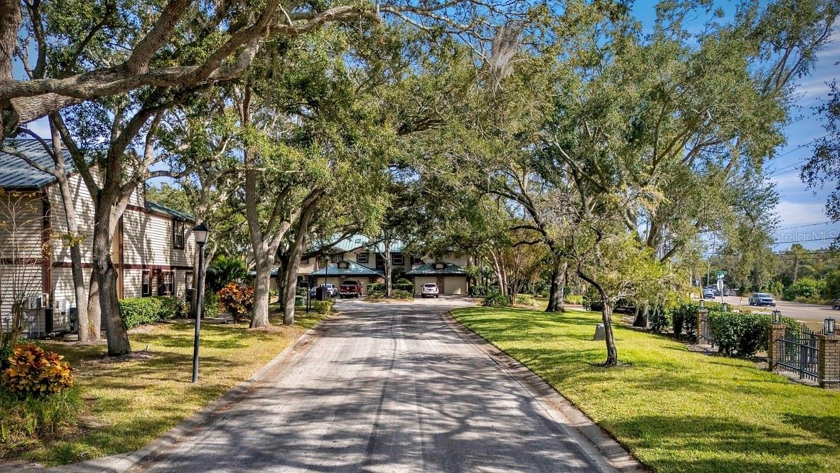 LAUREL OAKS AT COUNTRY WOODS CONDO - Residential