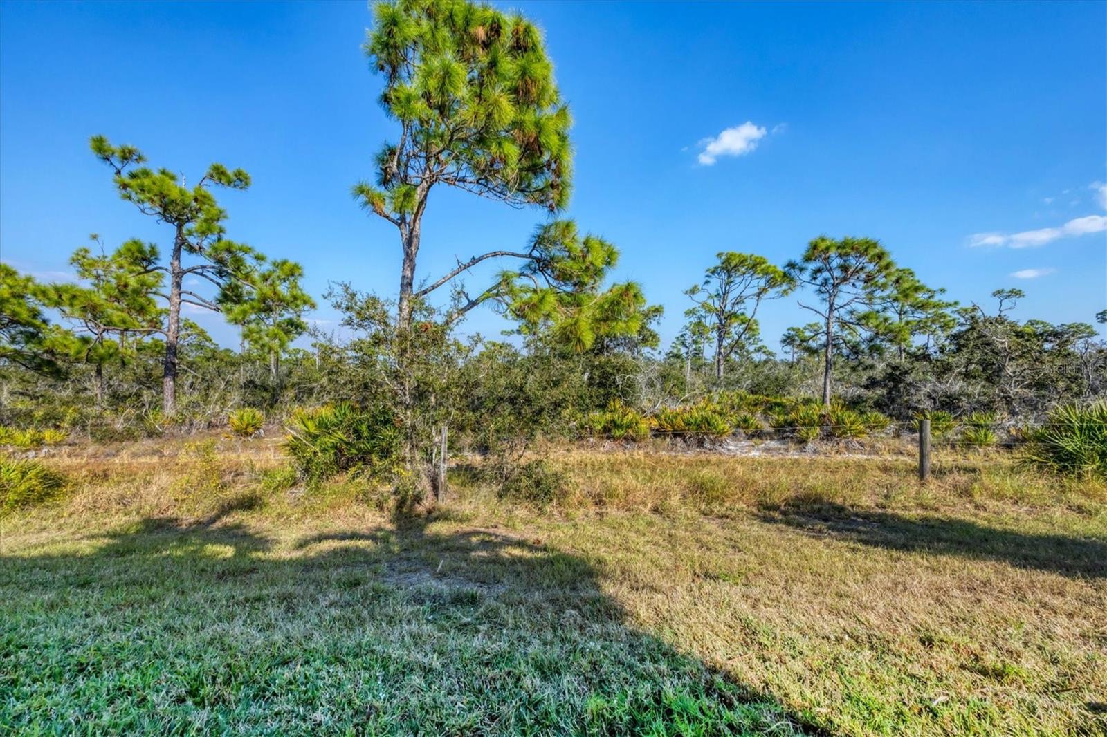 CORAL CAYE - Residential