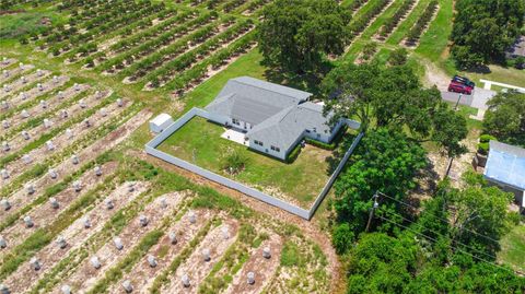 Tiny photo for 2190 Northland Road, Mount Dora, FL 32757 (MLS # O6322820)