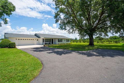 Photo of 2190 Northland Road, Mount Dora, FL 32757 (MLS # O6322820)