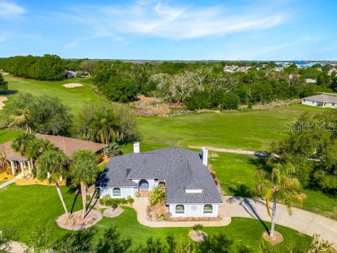 Tiny photo for 8739 Augusta Ct, Clermont, FL 34711 (MLS # G5110303)