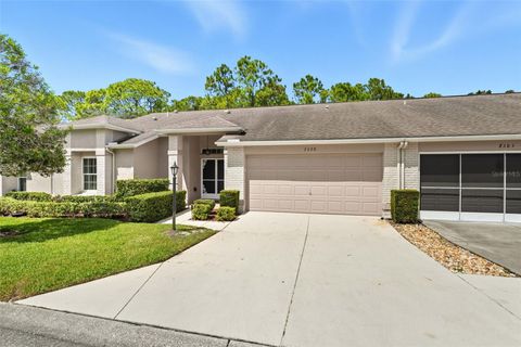 Photo of 7379 Woodhollow Road, Spring Hill, FL 34606 (MLS # W7879350)