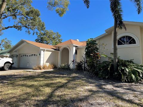 A home in TEMPLE TERRACE