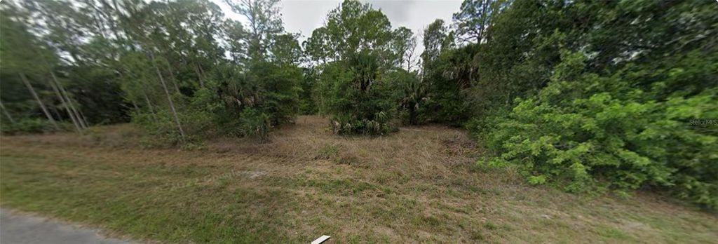 Photo of 1007 Leroy Avenue, Lehigh Acres, FL 33972 (MLS # G5081569)