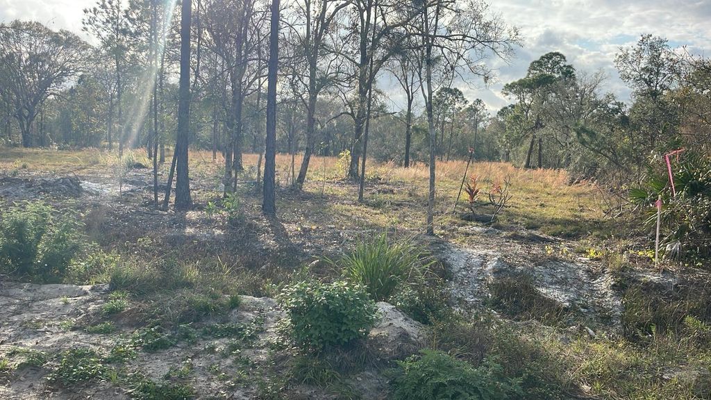 Photo of Kelly Ridge Road, Frostproof, FL 33843 (MLS # TB8346618)