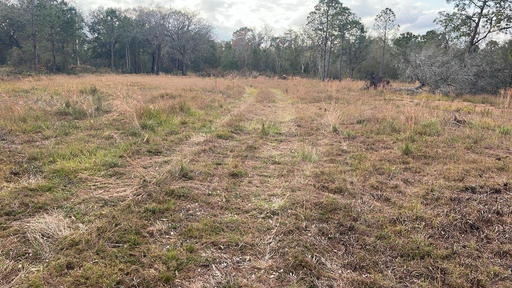 Photo of Kelly Ridge Road, Frostproof, FL 33843 (MLS # TB8346618)