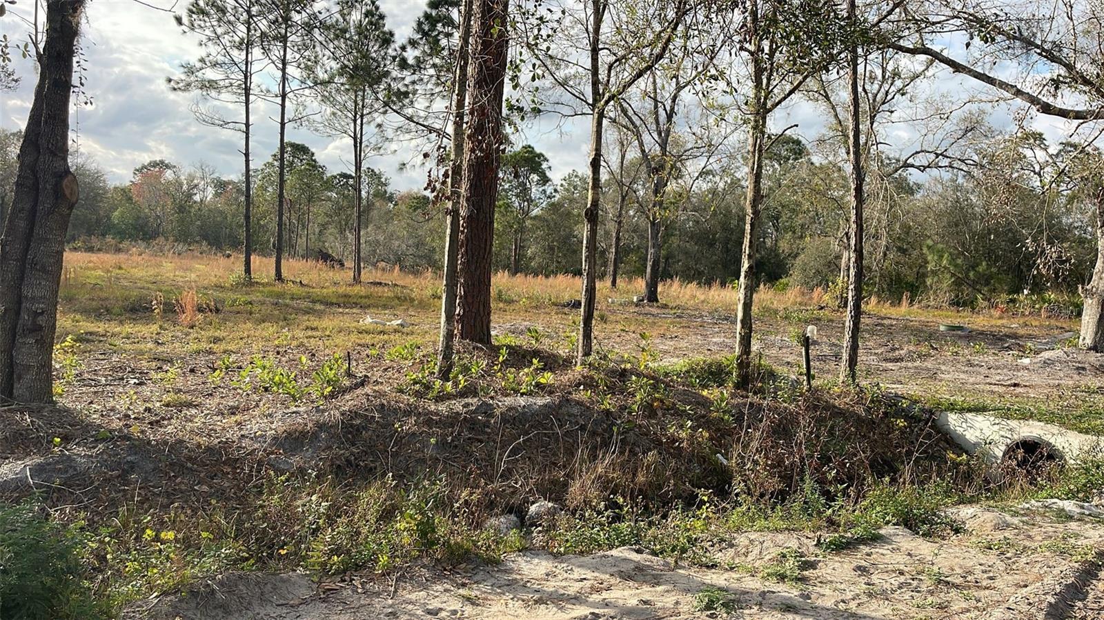 KELLY RIDGE ROAD