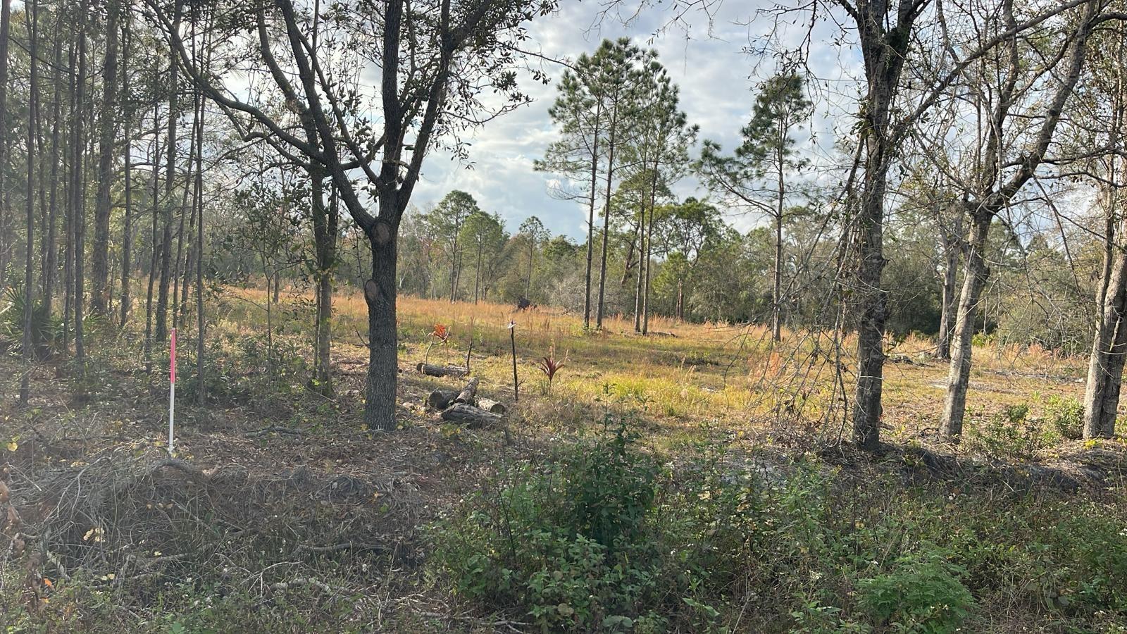 KELLY RIDGE ROAD