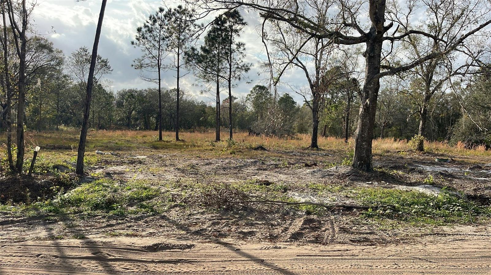 KELLY RIDGE ROAD