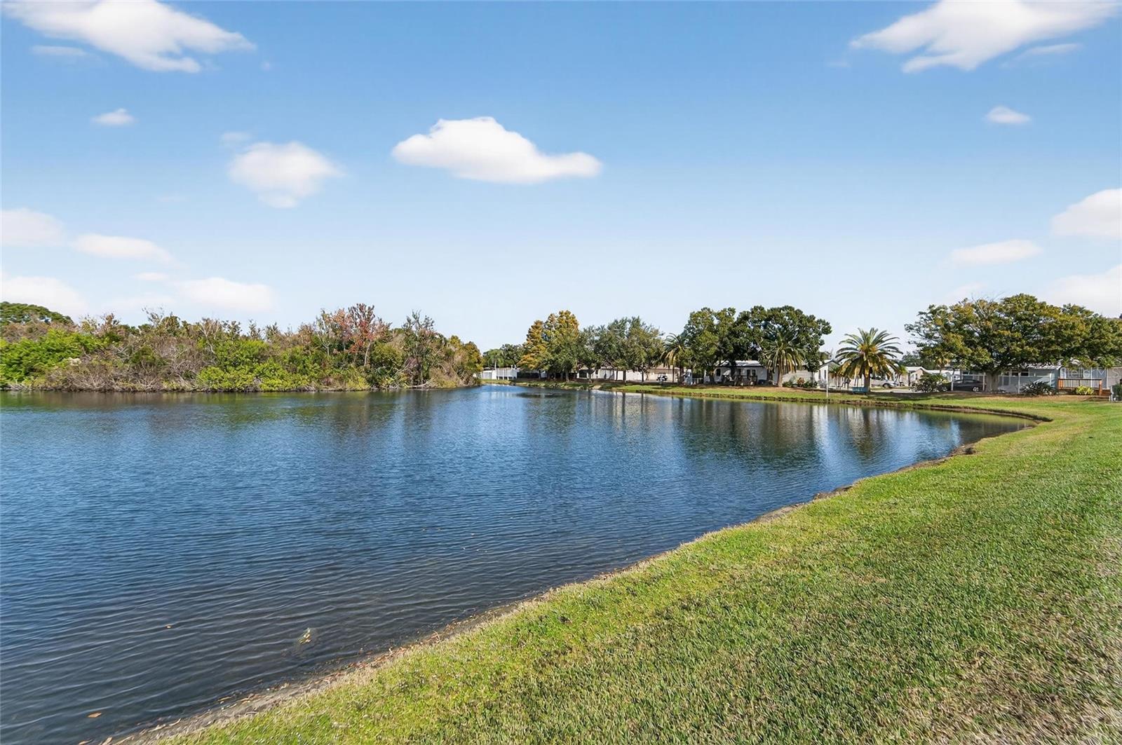 PARADISE ISLAND CO-OP INC - Residential