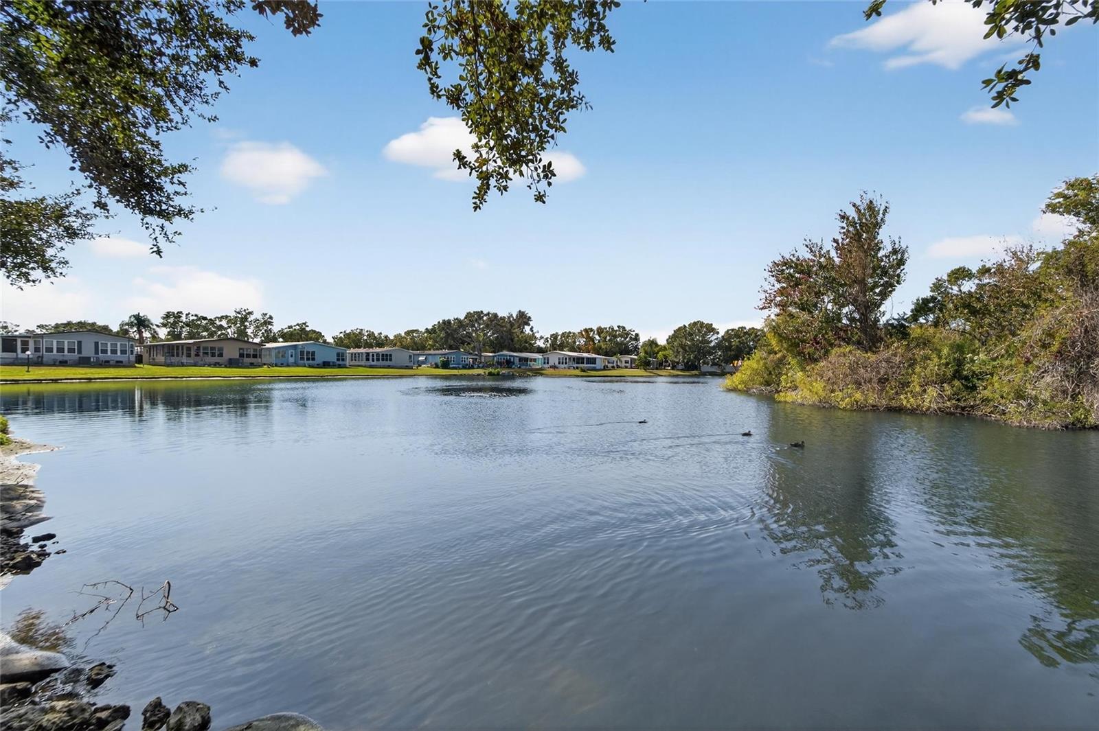 PARADISE ISLAND CO-OP INC - Residential