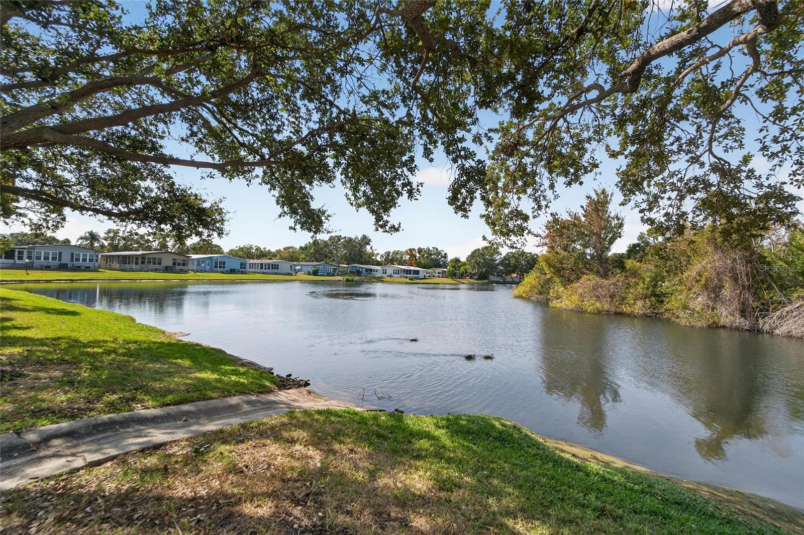 PARADISE ISLAND CO-OP INC - Residential