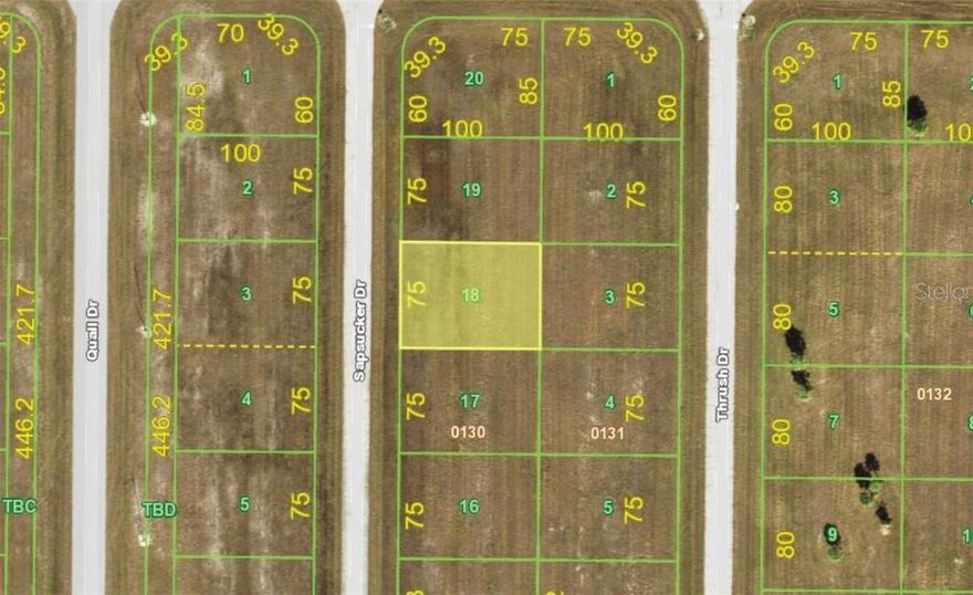 Build your dream home on this beautiful vacant lot located in the desirable community of Rotonda Meadows. This peaceful neighborhood offers public water and sewer, paved roads, and low HOA fees. The area is growing quickly with new construction all around, making it a great opportunity for homeowners and investors alike.
Located just minutes from Boca Grande beaches, world-class fishing, boat ramps, golf courses, and local dining, this lot provides the perfect blend of nature, privacy, and convenience. Don’t miss this chance to own property in one of Placida’s most up-and-coming areas.