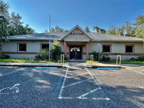 Photo of 54750 County Road 445a, Astor, FL 32102 (MLS # R4909670)