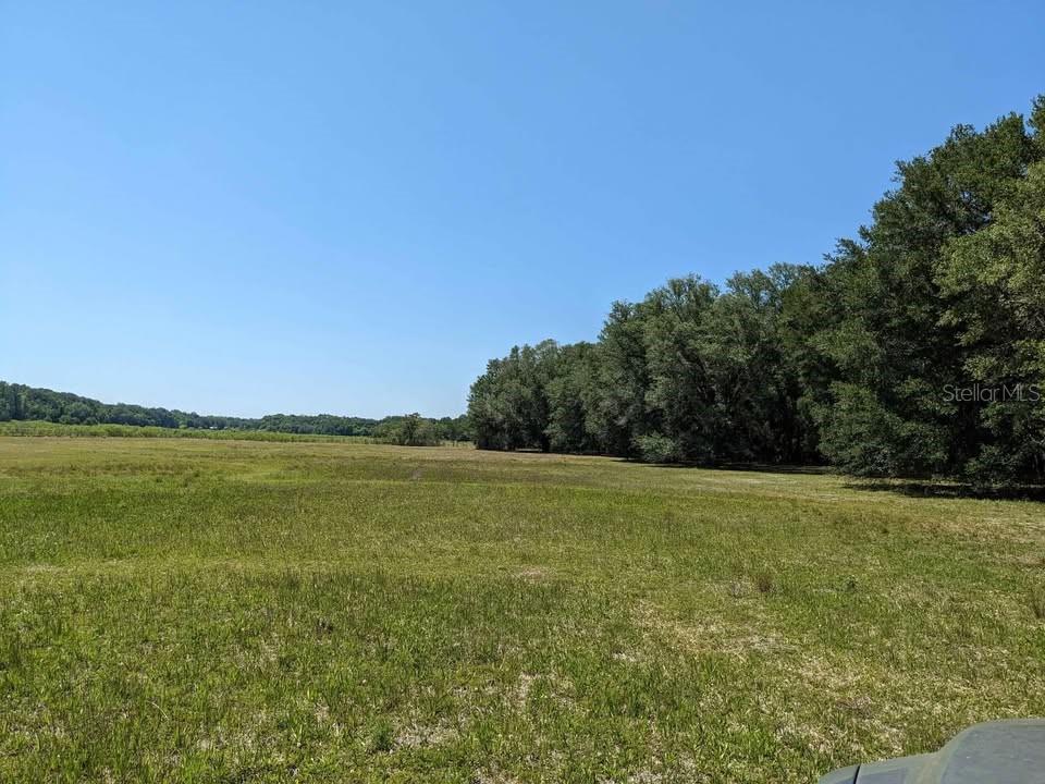 Photo of 00 NW 60th Avenue, Chiefland, FL 32626 (MLS # OM727862)