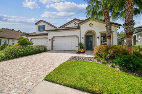 A home in WESLEY CHAPEL